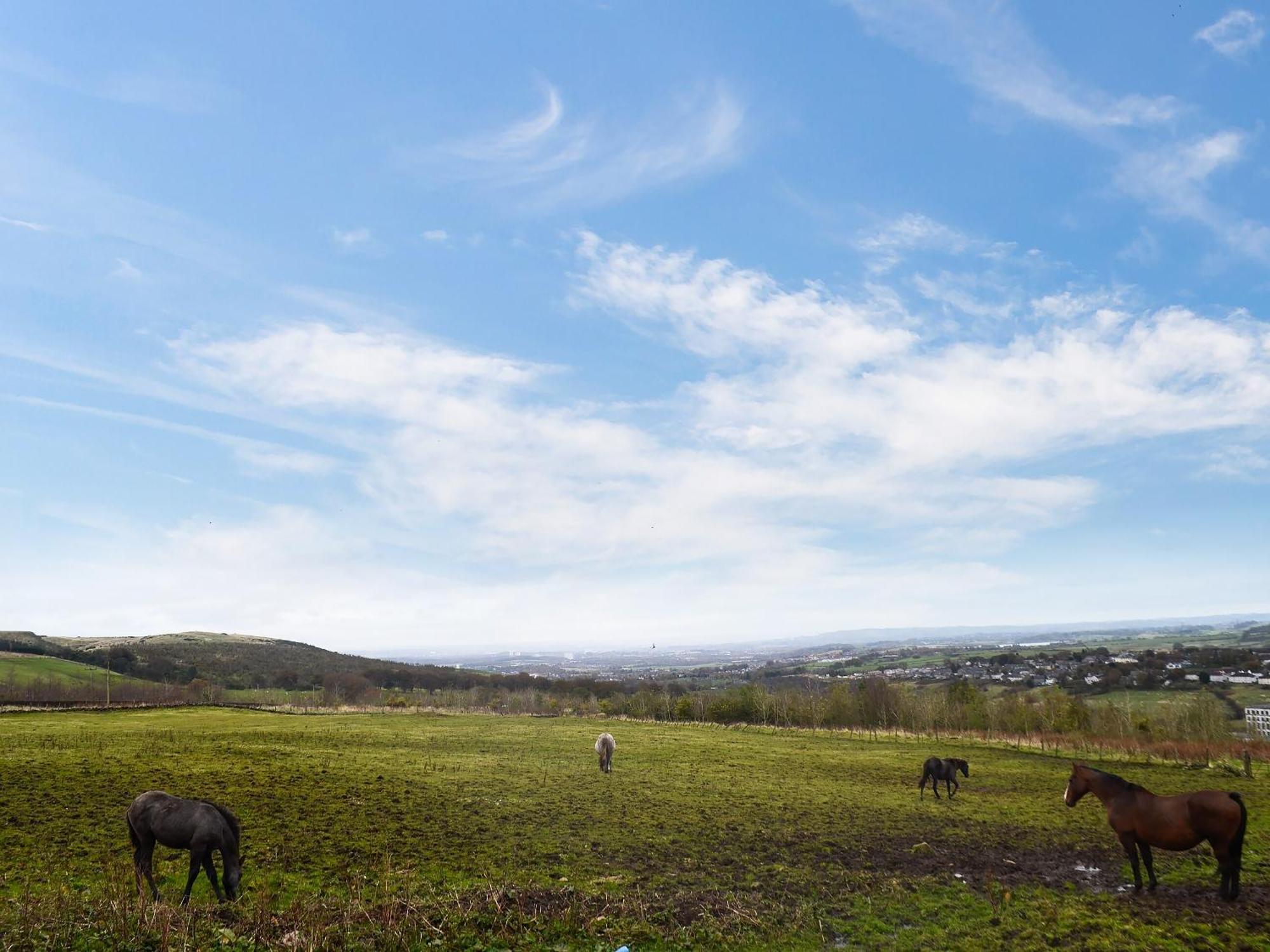 فيلا The Calving Shed Neilston المظهر الخارجي الصورة